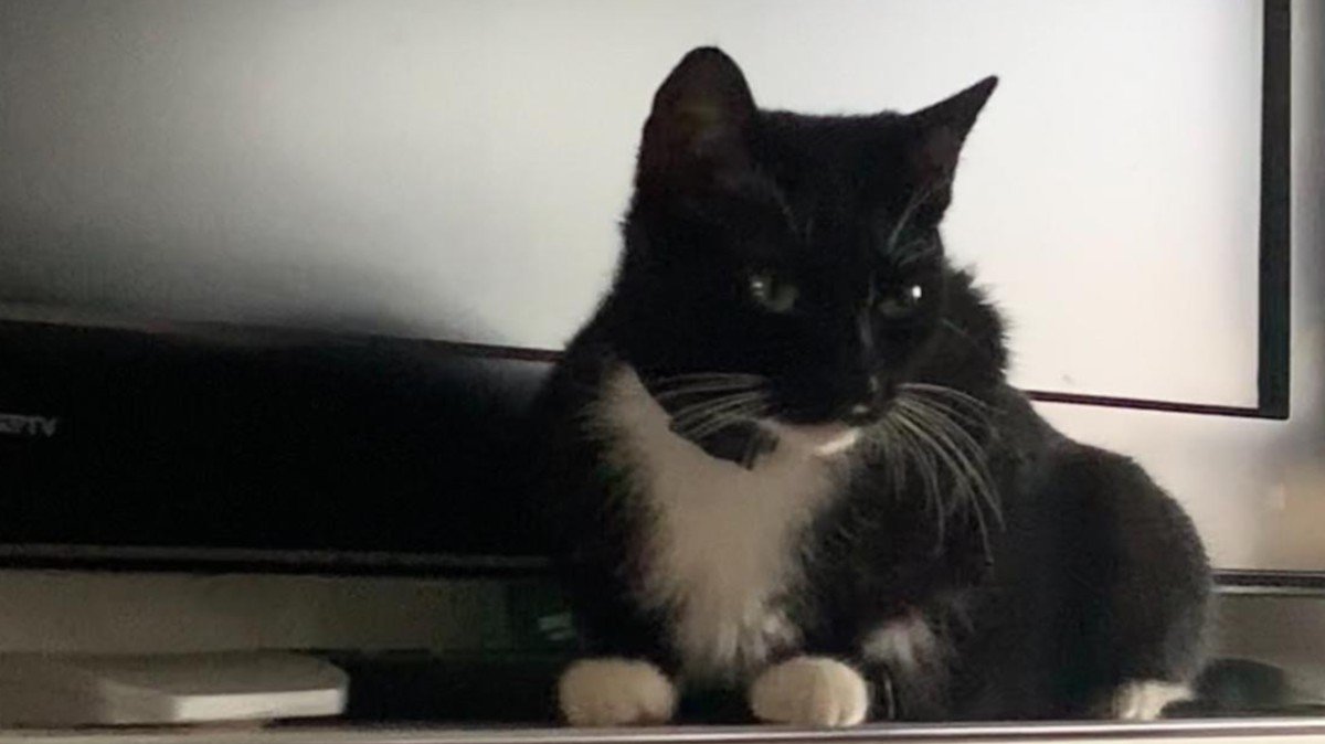 Jack