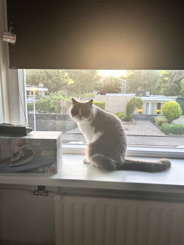 Pip