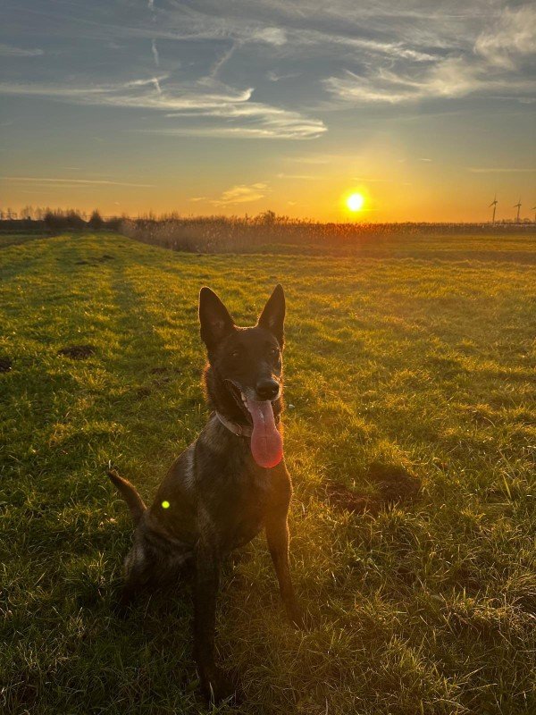 Odin