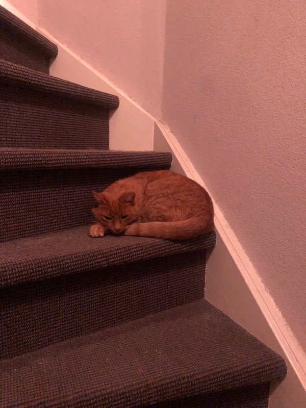 Romeo