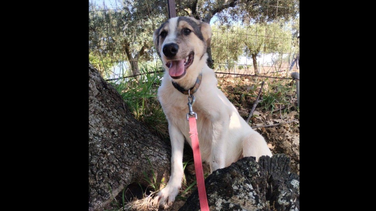 Sam