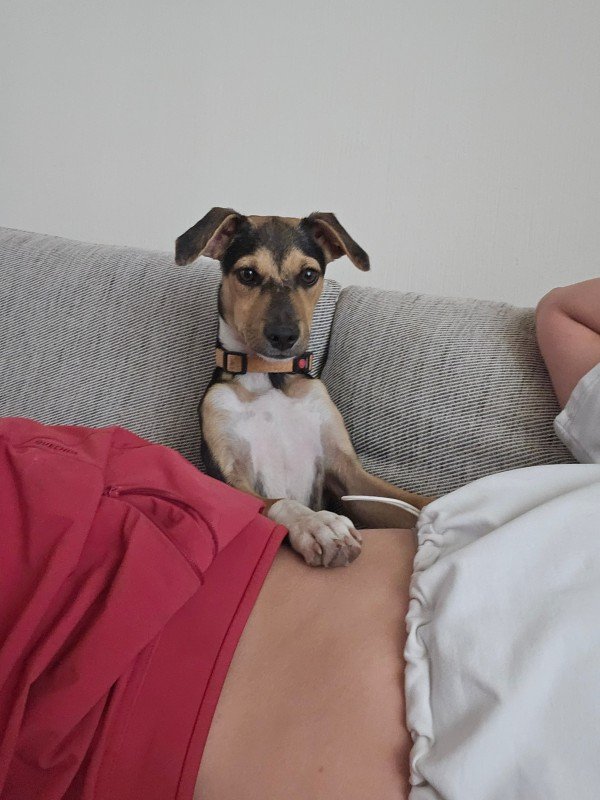 Sam