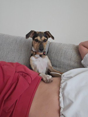 Sam