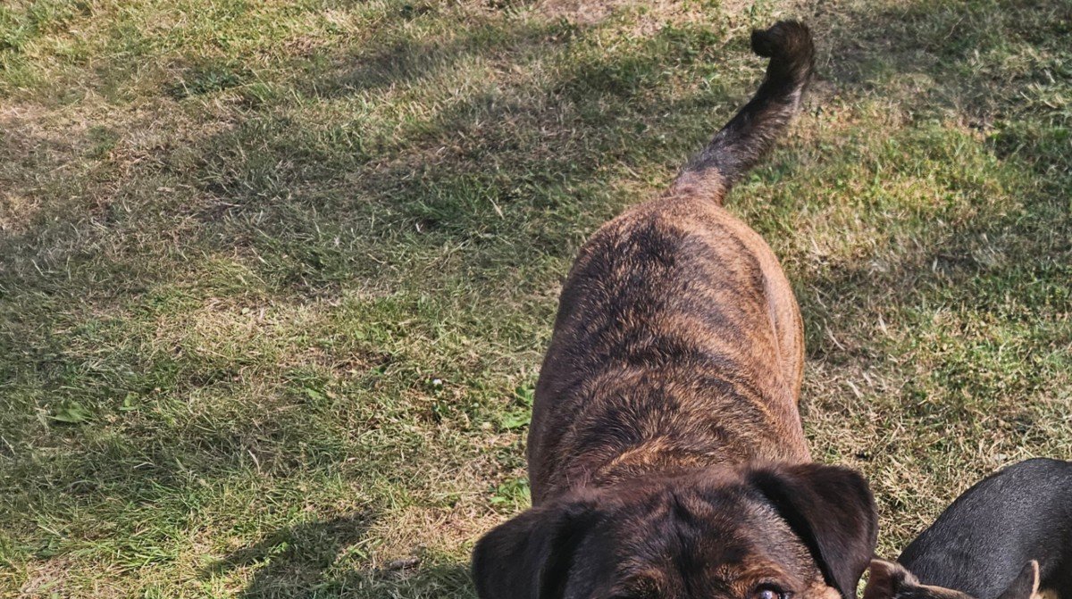 Sam
