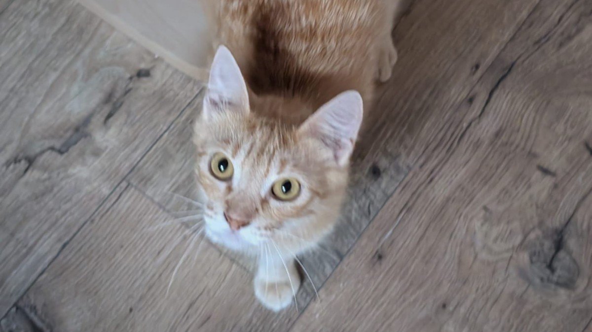 Amber