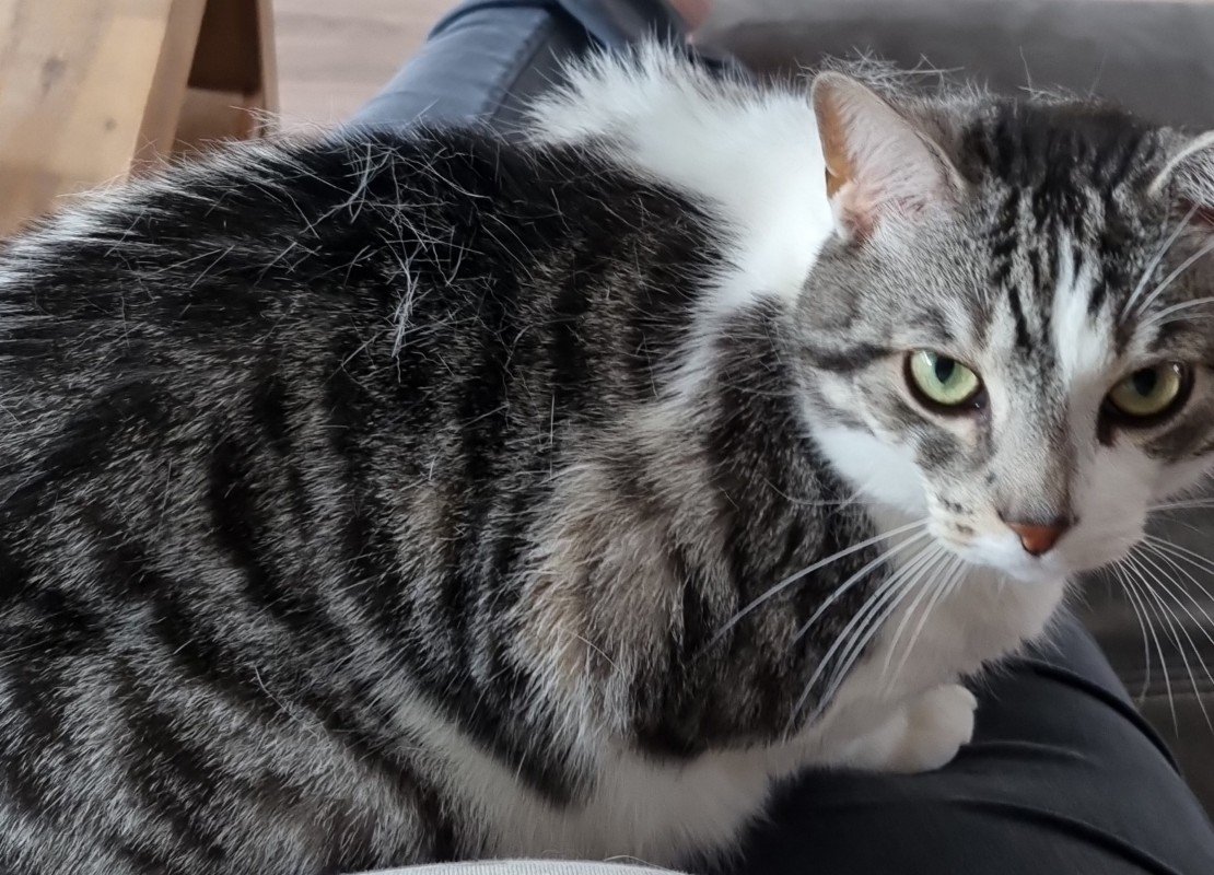 Vinnie