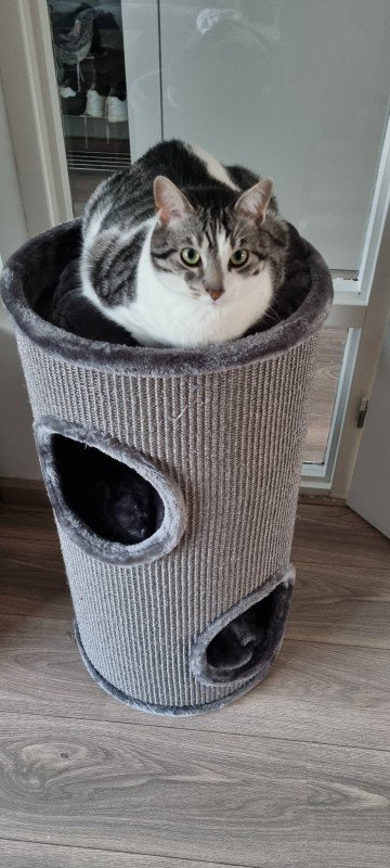 Vinnie