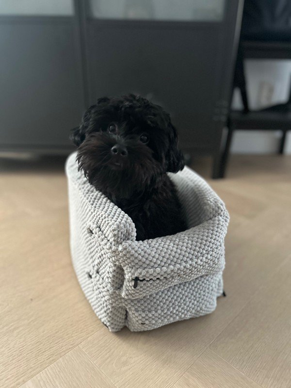 Bobby