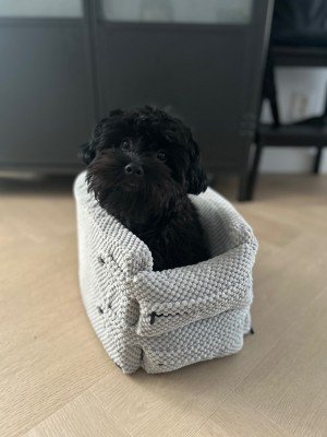 Bobby