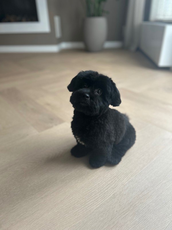 Bobby