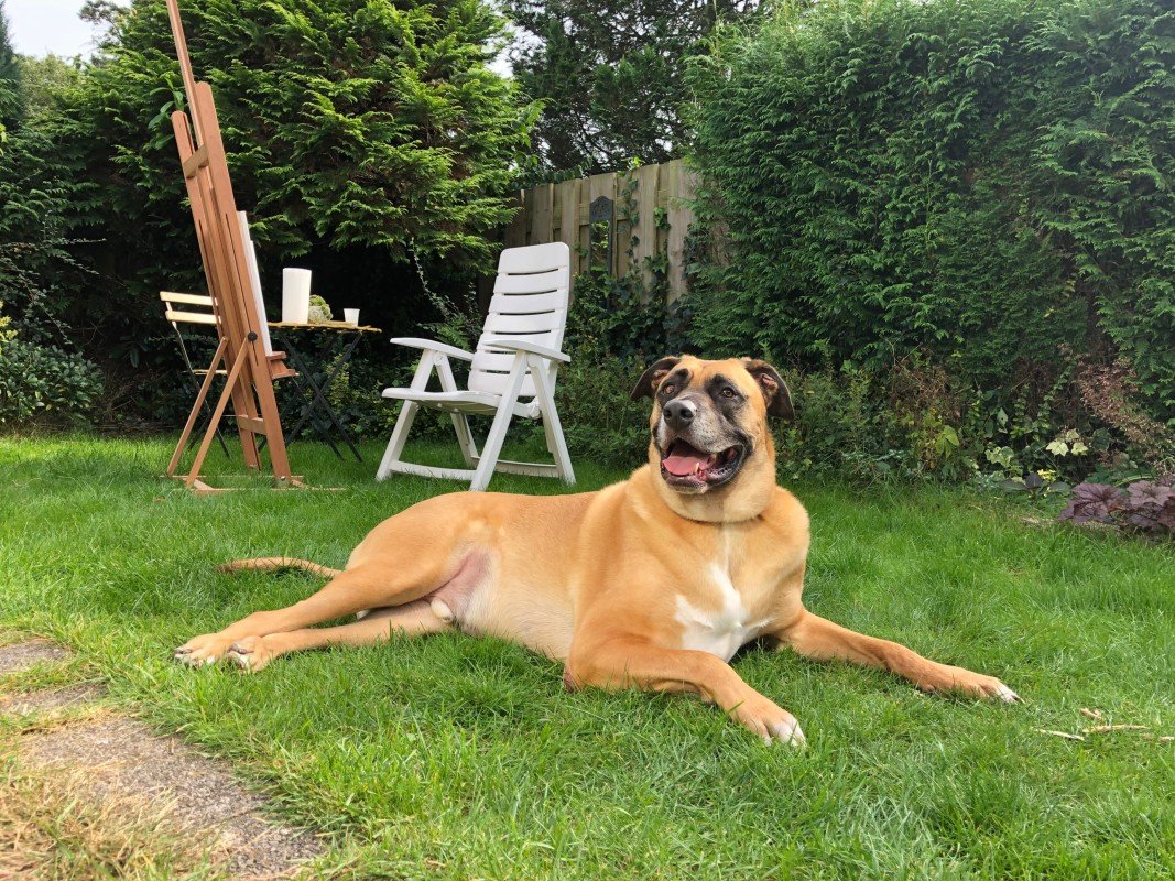 Bumper