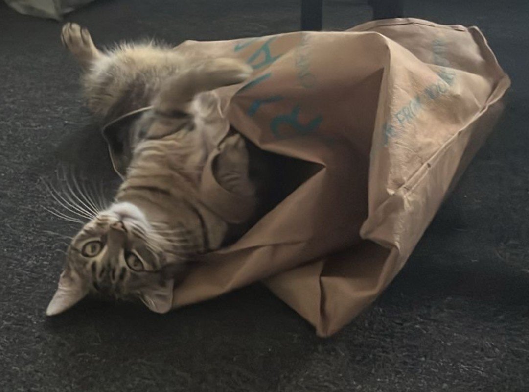 Nala