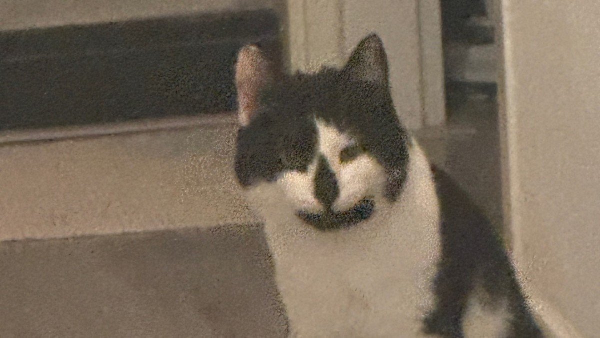 Astro