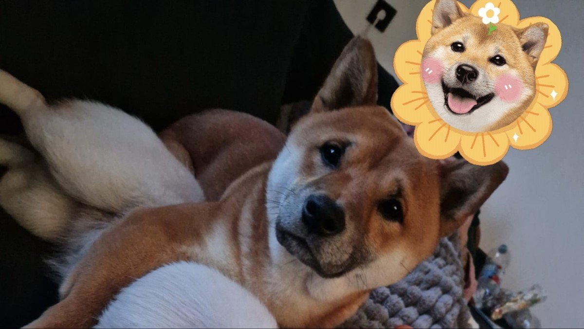 Kairo