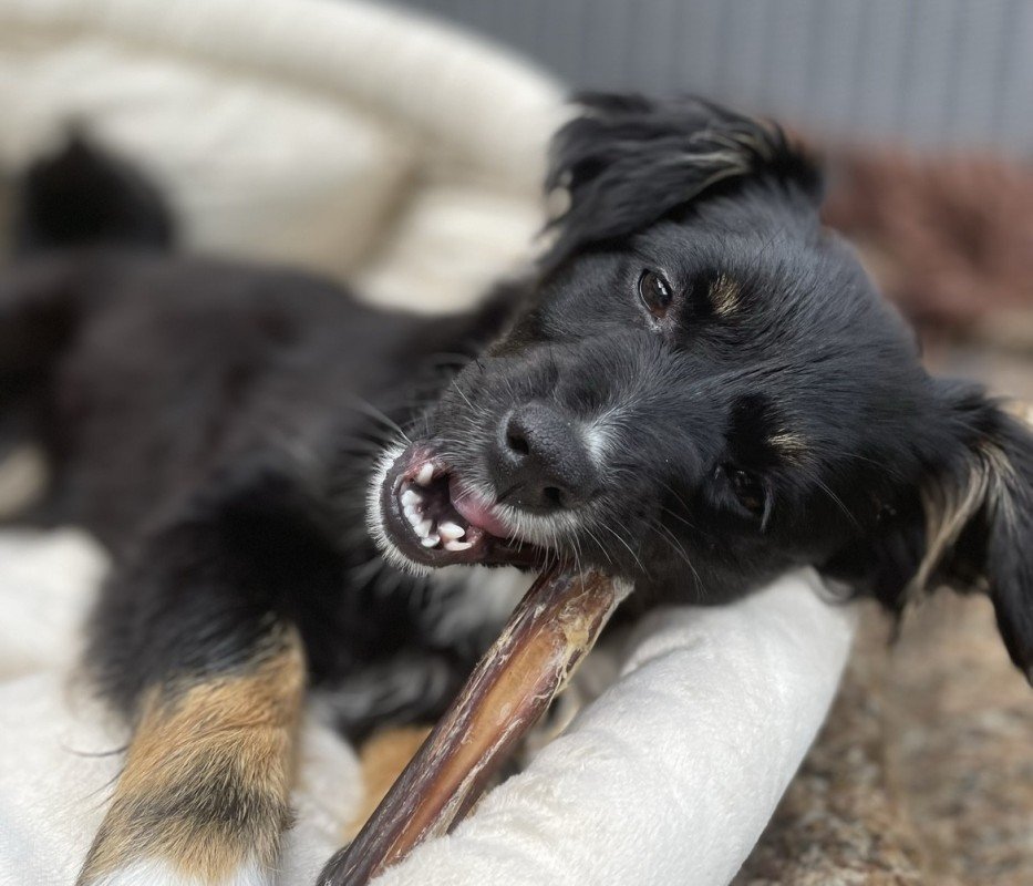 Kaia