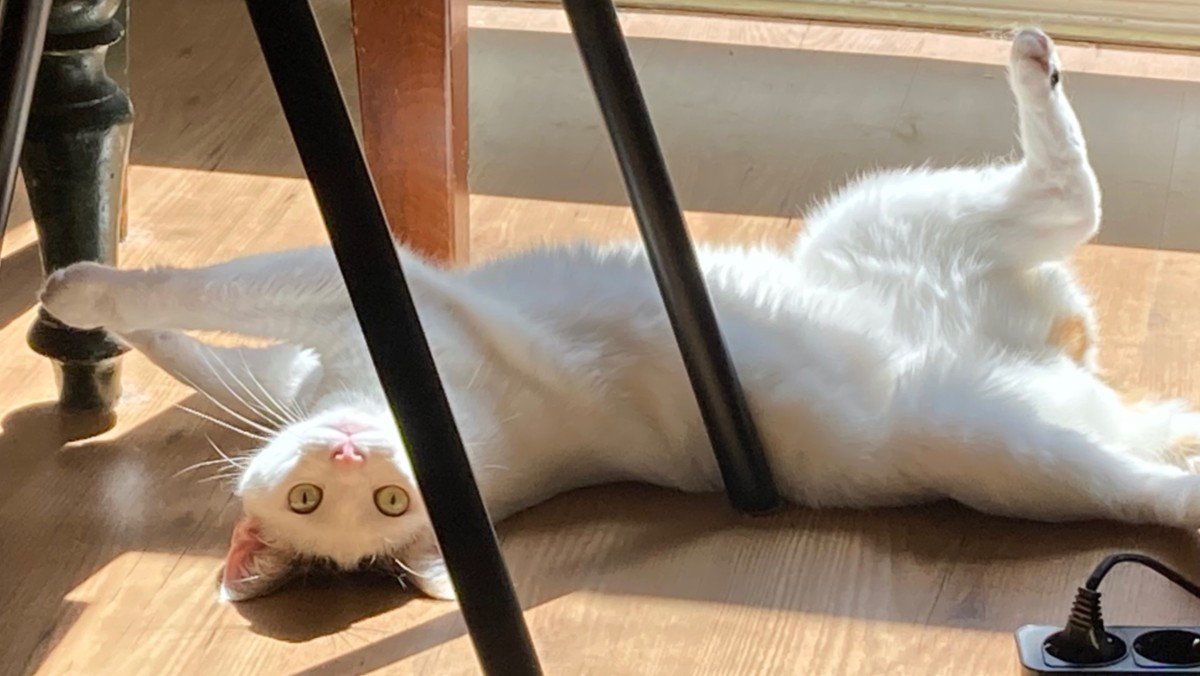 Sam