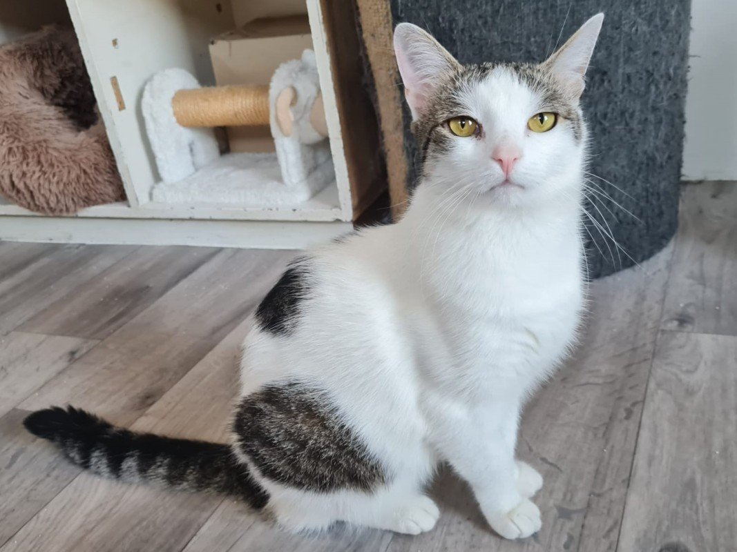 Theodora