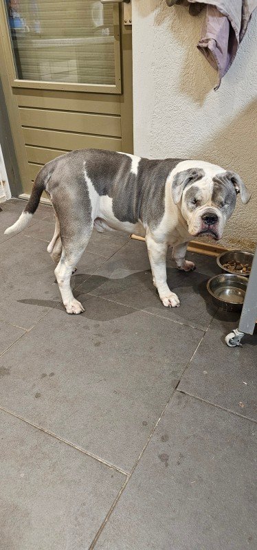 Tyson