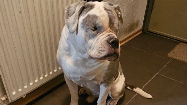 Tyson