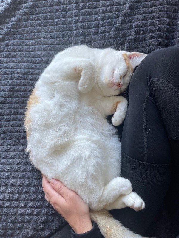 Pablo