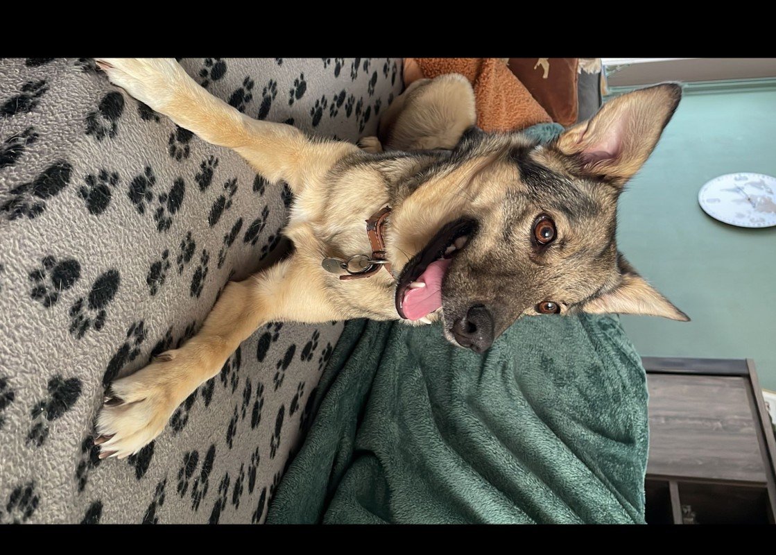 Bowie