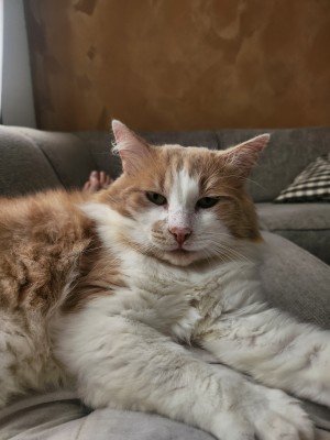 Chester