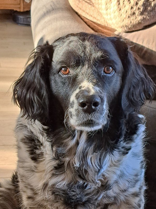 Diego