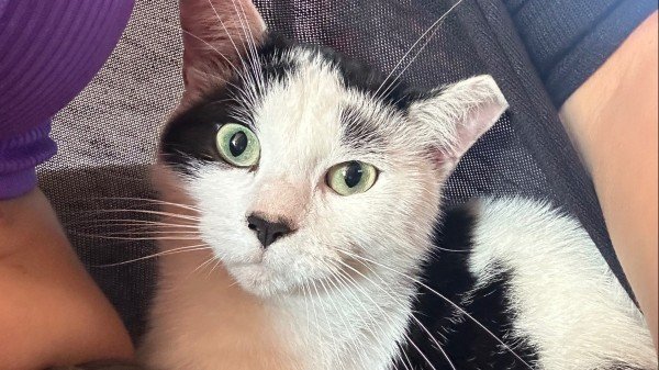 Luna