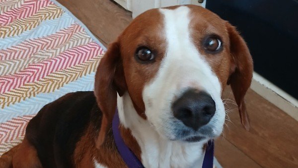 Matilda