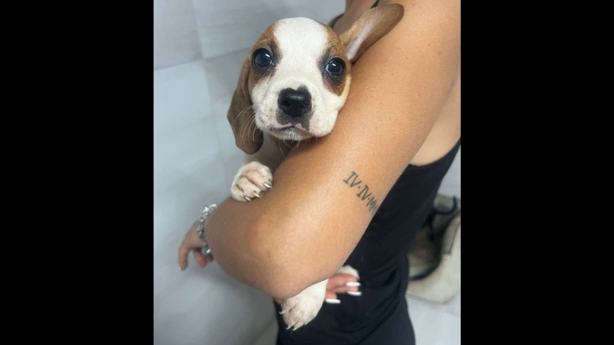Ginny