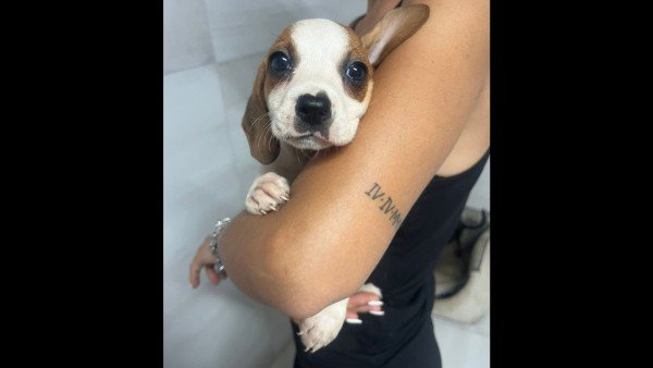 Ginny