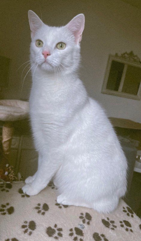 Casper