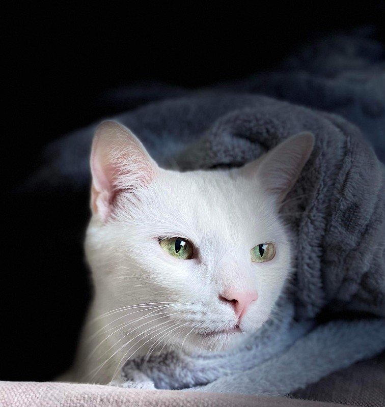 Casper