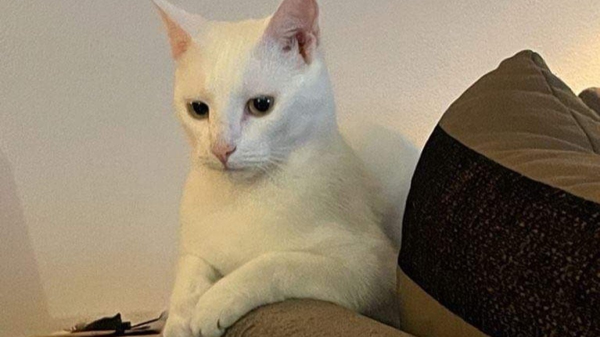 Casper