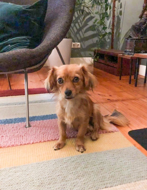Minnie
