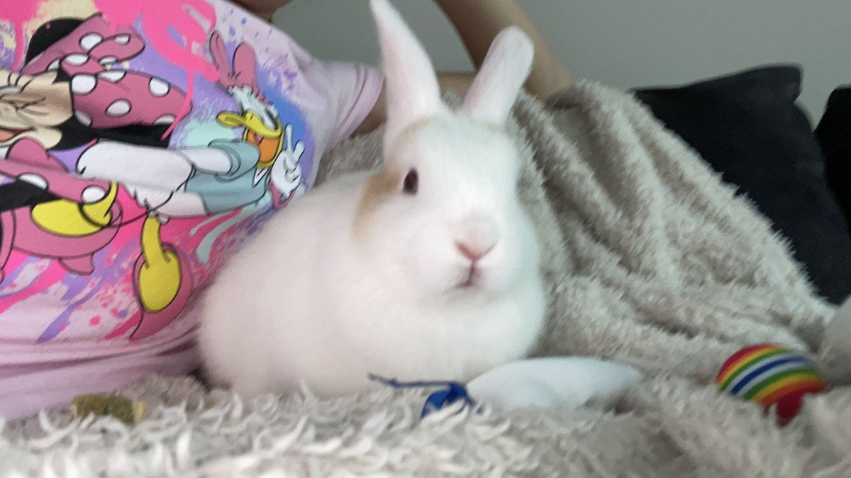 Flappie