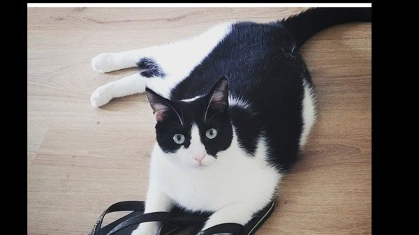 Billy