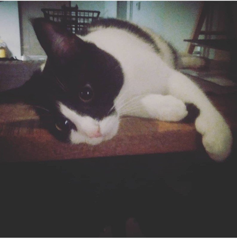 Billy