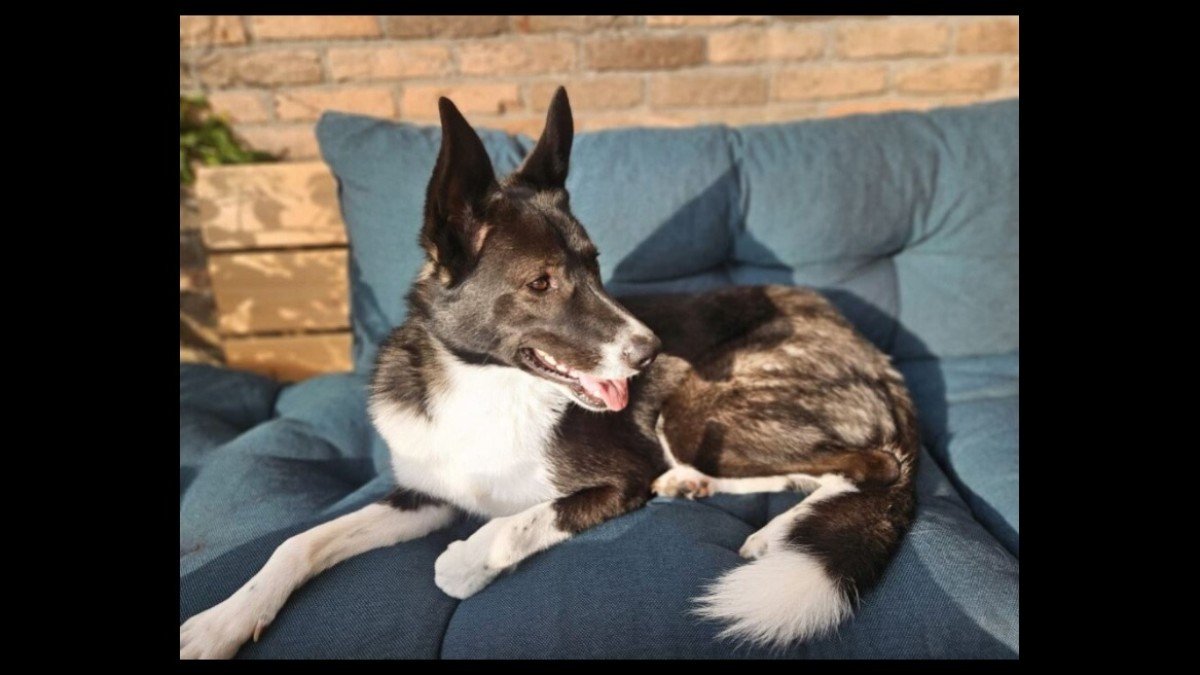Milo