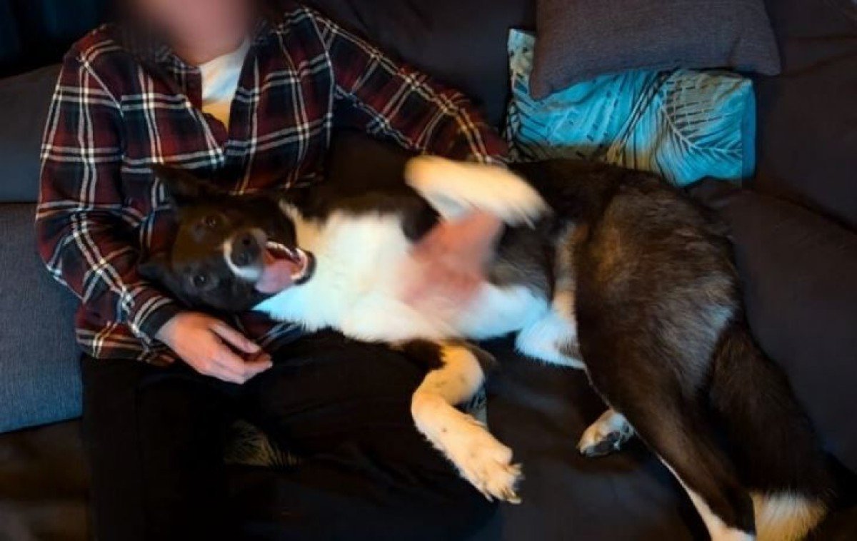 Milo