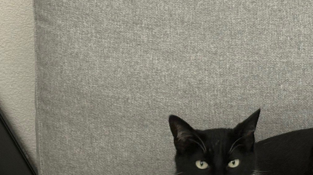 Incilay