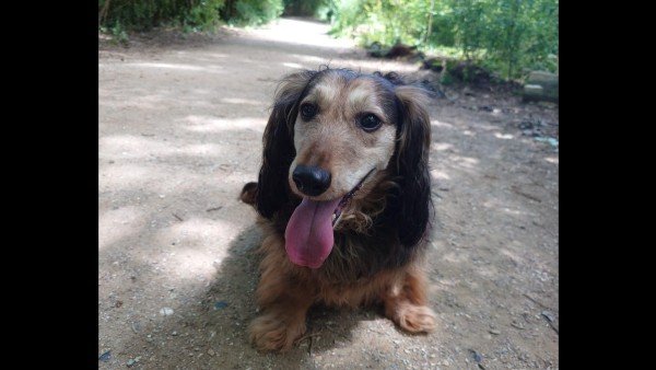 Benny