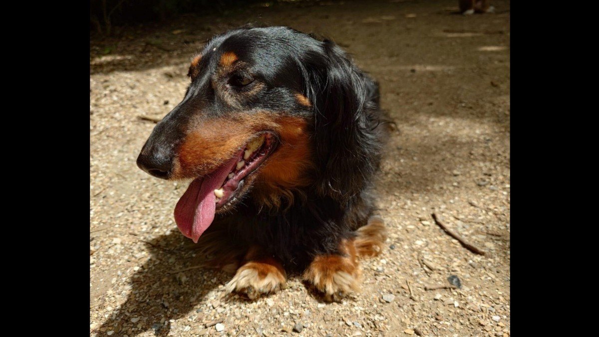 Athos