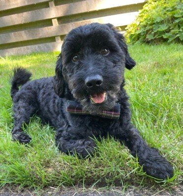 Charlie