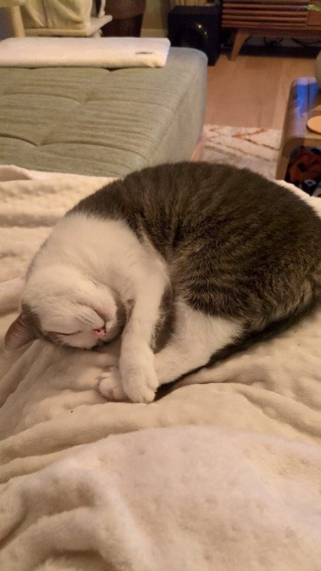Kitkat