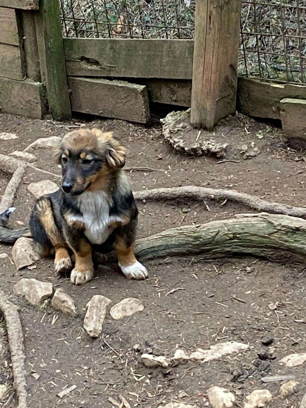 Tula
