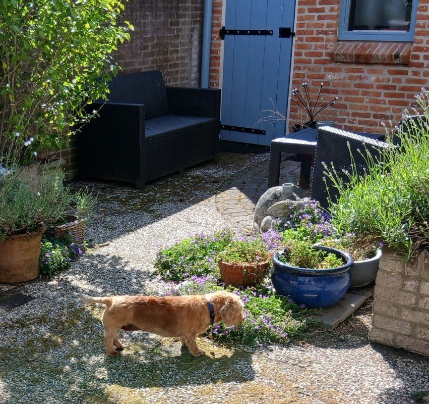 Loesje