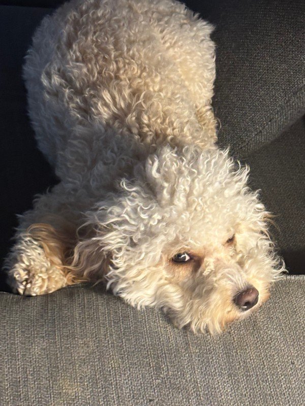 Mia