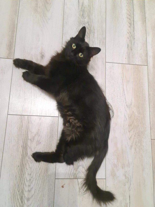 Flufy