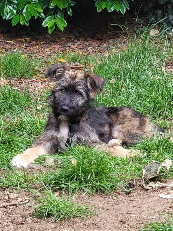 Bailey